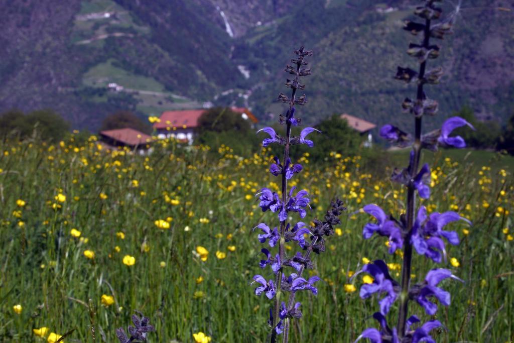 Niederhof Villa Parcines Eksteriør bilde